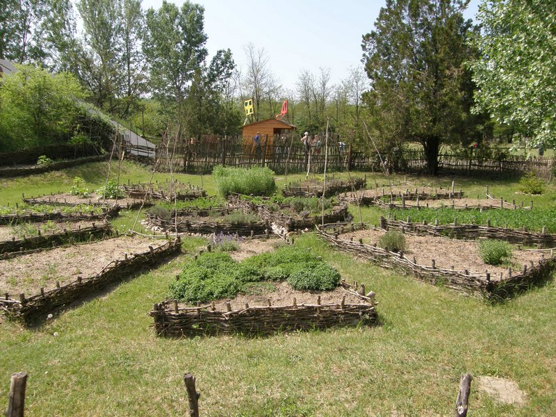 P5014844.JPG