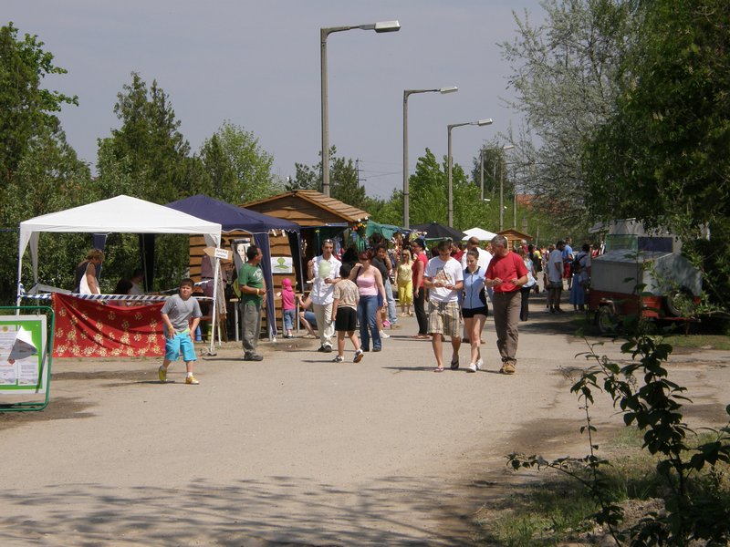 P5014880.JPG